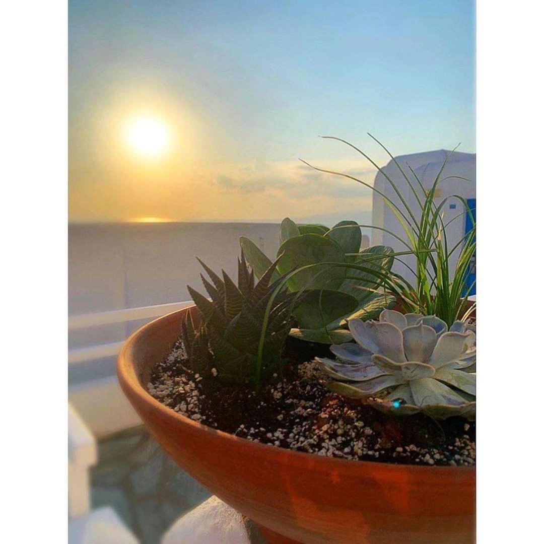 Hotel Madalena Mykonos Town Dış mekan fotoğraf