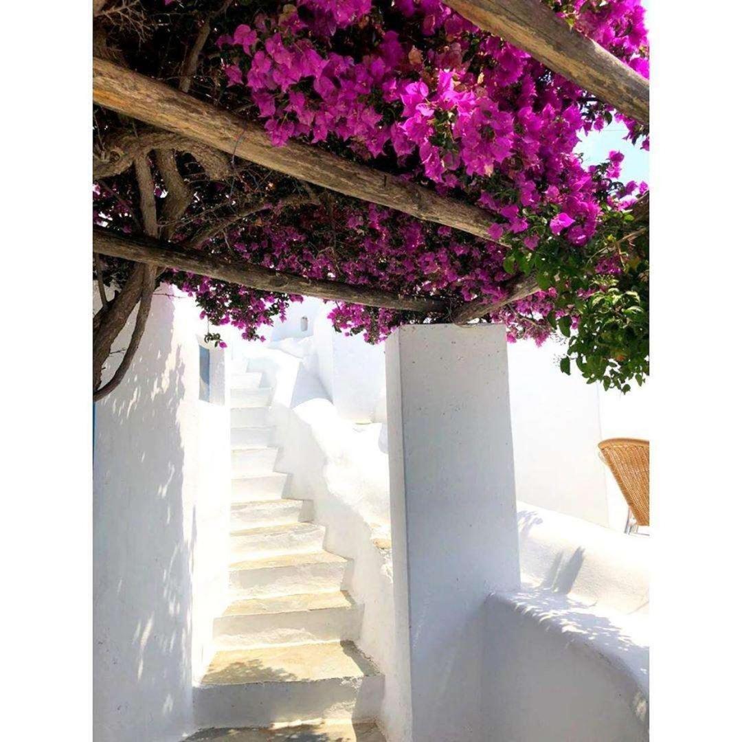 Hotel Madalena Mykonos Town Dış mekan fotoğraf